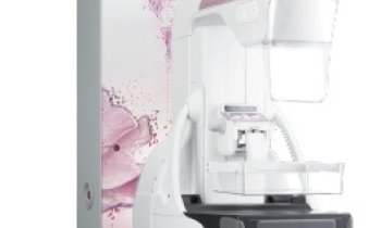 Amulet Innovality Harmony