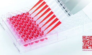 BIOFLOAT™ cell culture plates