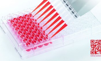 BIOFLOAT™ cell culture plates