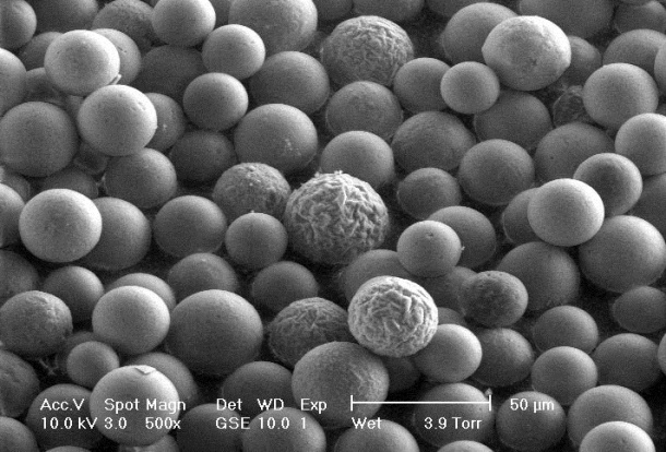 Holmium beads under the microscope