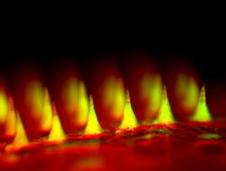 An up-close fluorescent image of the microneedle patch with insulin tagged in...
