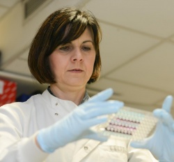 This is Dr Tatjana Crnogorac-Jurcevic, Barts Cancer Institute, Queen Mary...