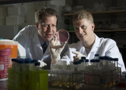 Dr. Brad Berges and undergraduate Jacob Hatch are researching ways...