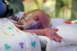 A new molecule is found to prevent preterm birth. Image does not depict child...