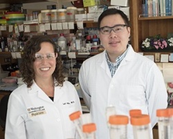 Lori Holtz, MD, (left) led a study with first author Efrem Lim, PhD,...