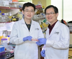 First author of the study, postdoctoral fellow Dr Sun Jichao (left), with...