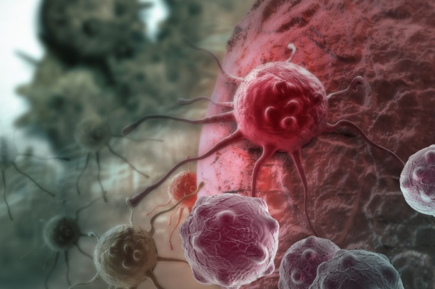 Photo: Antibody slows tumor growth and metastasis