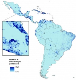 Map showing the projected number of Zika infections in childbearing women.