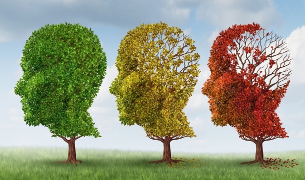 A new study sheds light on the early stages of Alzheimers disease.