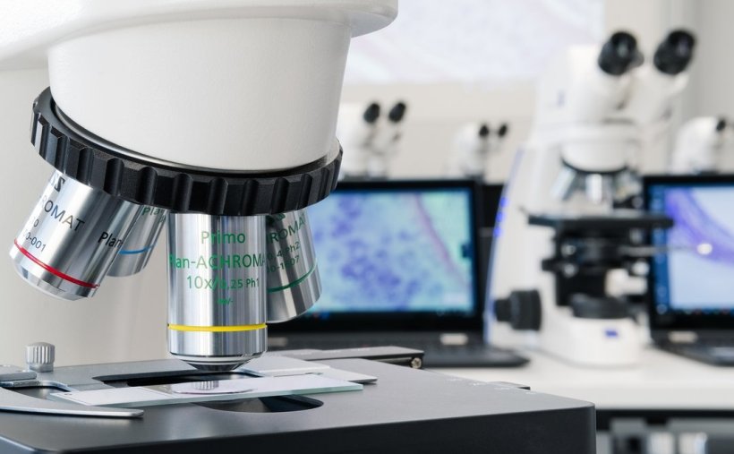 microscopes in digital pathology setting