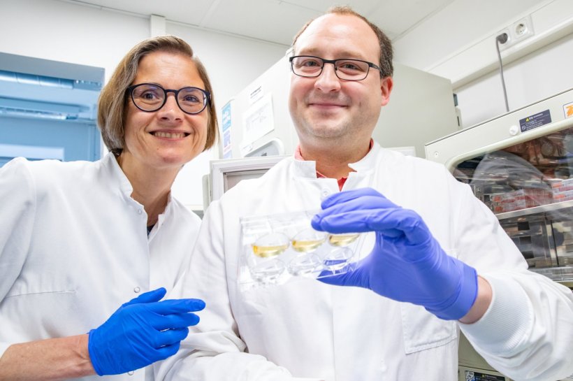 Professorin Dr. Susanne Petri und Dr. Thomas Gschwendtberger haben einen...