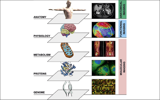 Multi-parametric imaging of tumour biology