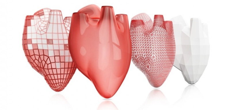 Spain takes medical 3-D print to heart