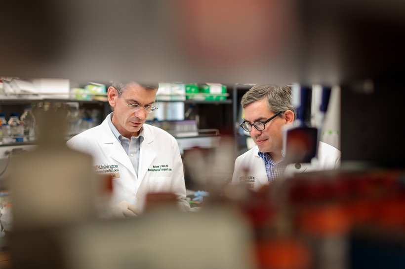 Matthew Walter, MD, left, and Eric Duncavage, MD, work in the lab. They and...