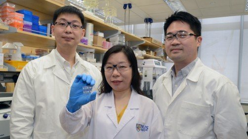A multidisciplinary team led by Assistant Professor Shao Huilin (centre) at...
