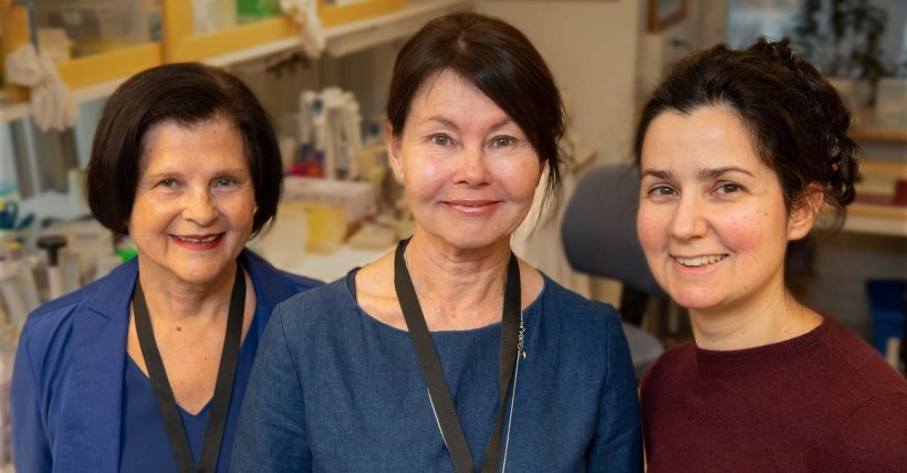 Karolinska Institutet researchers Pauline Harper (from left), Eliane Sardh and...