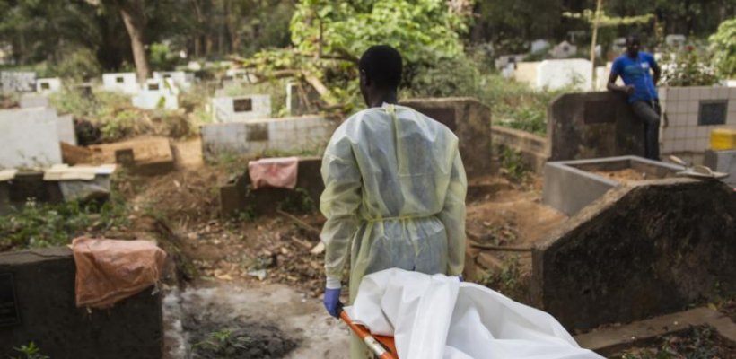 Half of Ebola outbreaks have gone undetected since the virus was discovered in...