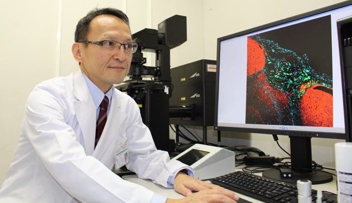 Professor Shinya Tanaka at the laser confocal scanning microscope