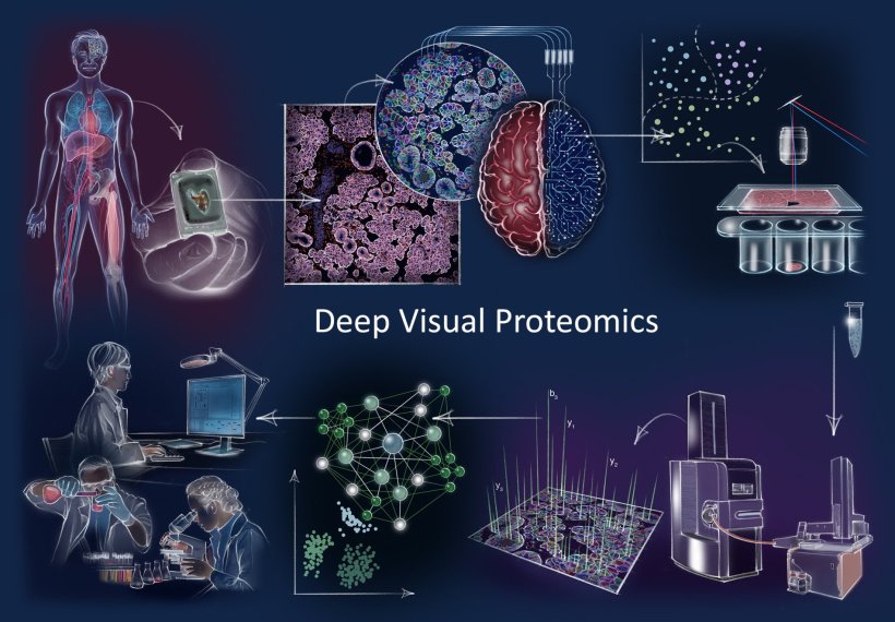 Deep Visual Proteomics Konzept und Arbeitsablauf Im Uhrzeigersinn: Deep Visual...