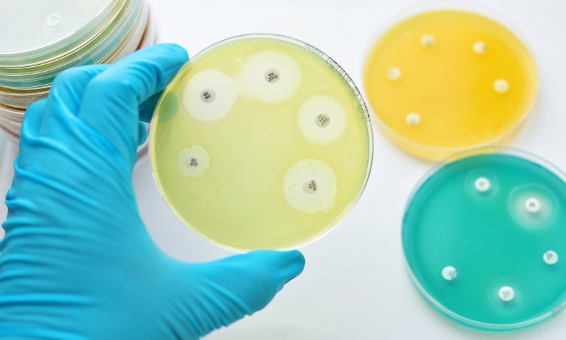 Tracking the global spread of antimicrobial resistance