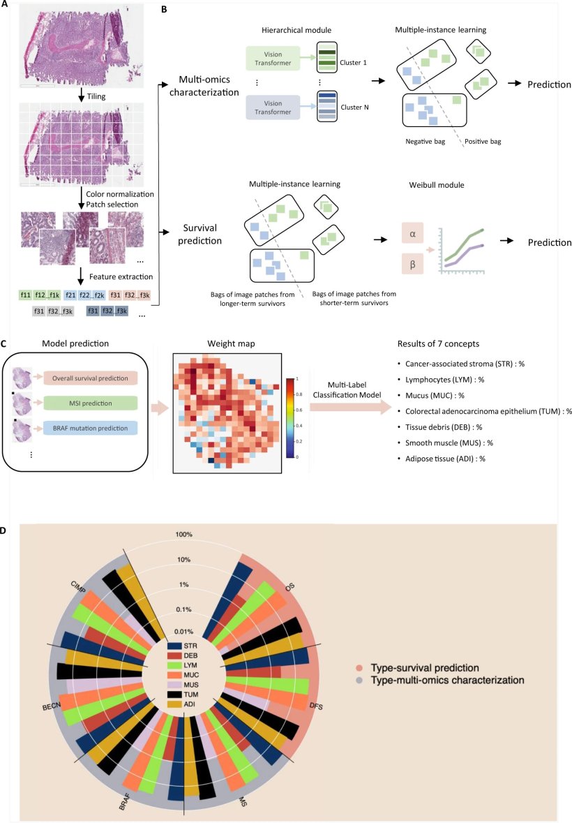 An overview of the Multi-omics Multi-cohort Assessment (MOMA) machine learning...