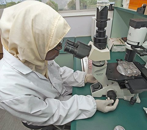 lab technician working on a microscope