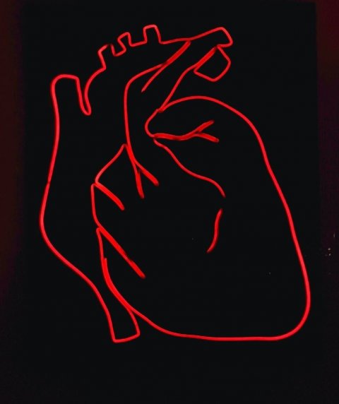 human heart red neon sign