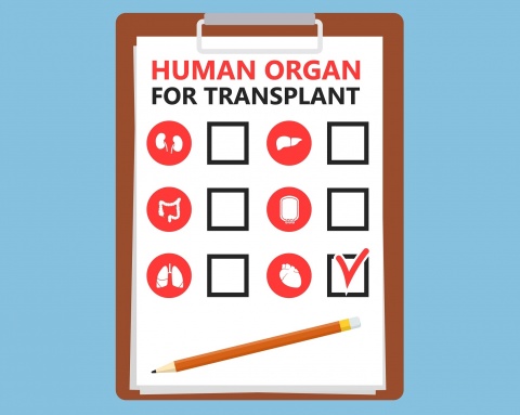 Set of Internal human organs icons representing organs and the tools necessary for organ transplants.