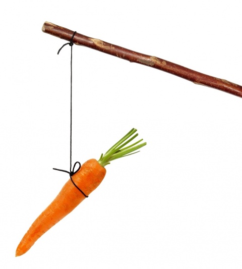 Stick with carrot on string