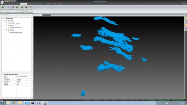 The triangle mesh from the selected point cloud